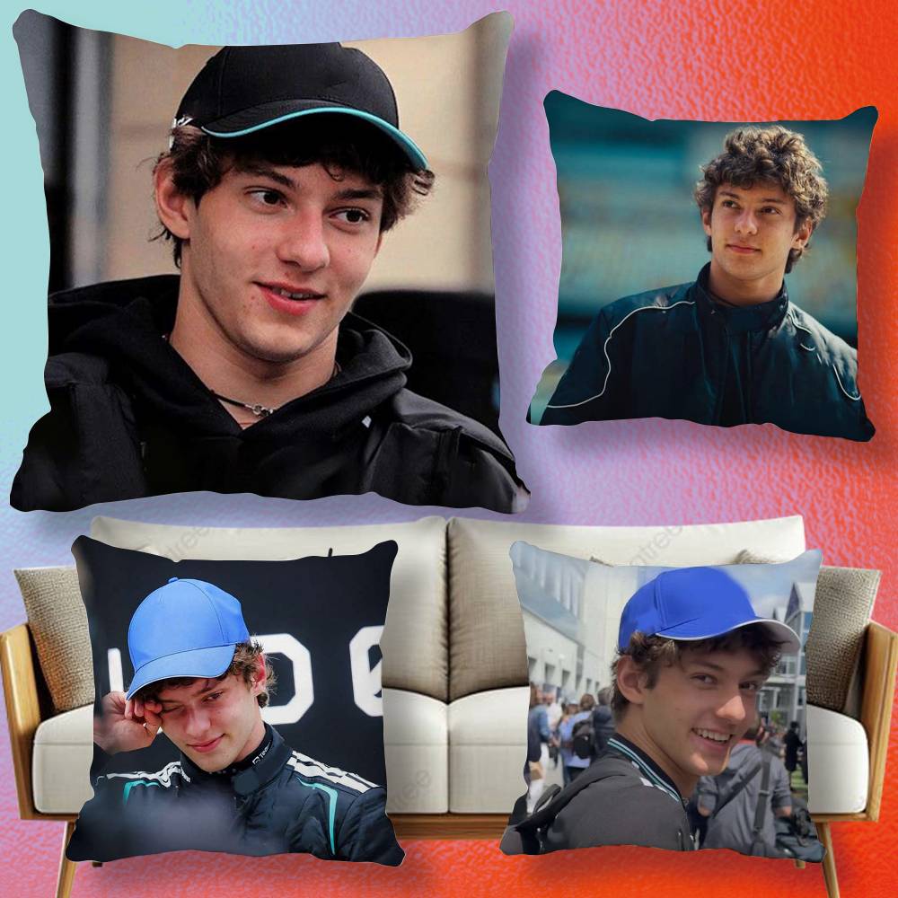Home Textiles Definition - Driver K-Kimi A-Antonelli Pillow cover gift