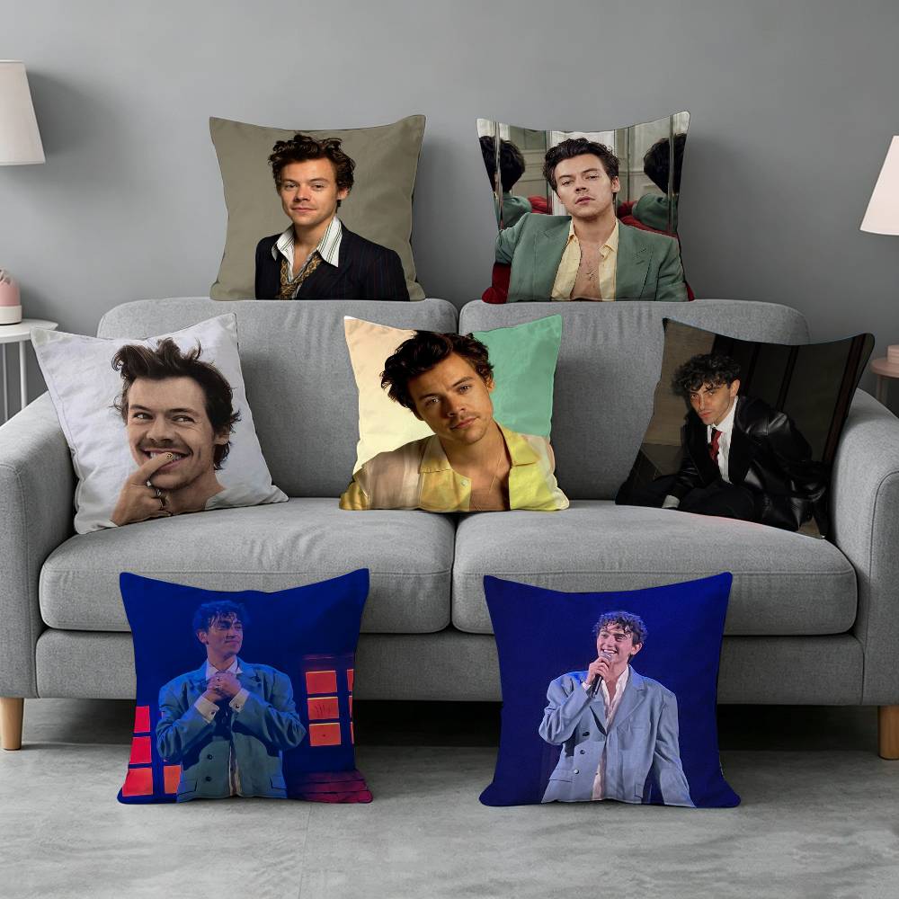 Michele B-Bravi Freddo-o Pillo - đánh giá và giá Home Textiles Definition